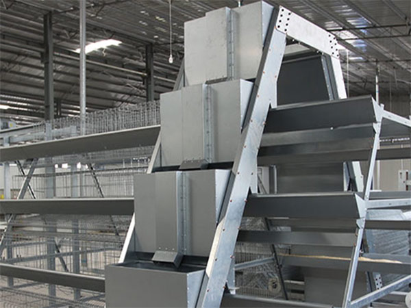 Automatic chicken ladder type feeding machine can realize the automatic poultry farming.