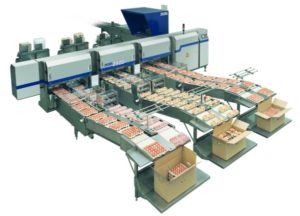egg processing machine makes the layer farming easy and orderly.