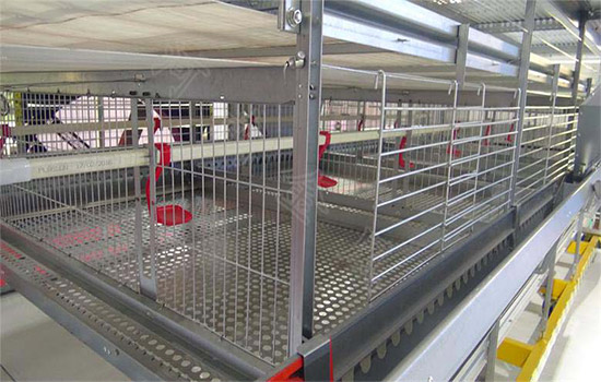 Poultry Farming Equipment for Broilers Products | Broiler Chicken Farming  Equipment for Sale - Livi Poultry Farming Equipment