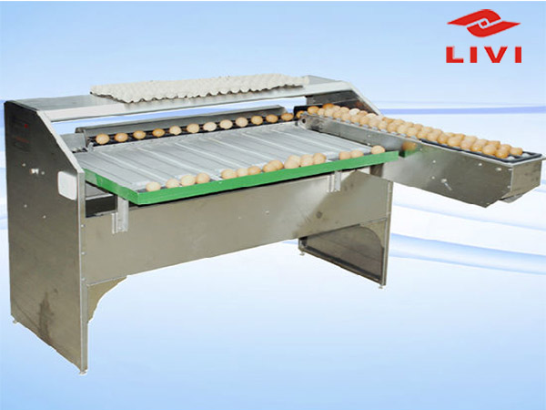 Egg grader have the most advanced technology available and with superior labour efficiency and low parts usage