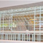 Cage mesh for chicken cages will have an important relationships with chickens' health.