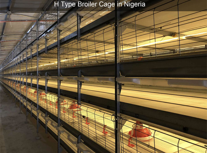 battery broiler cages for sale