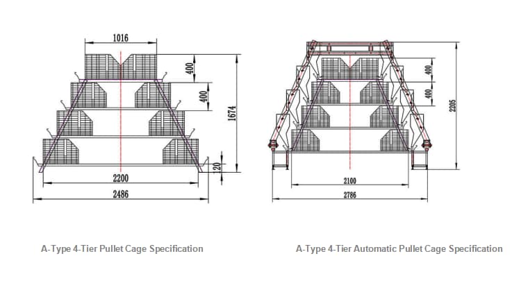 A-type chick cages