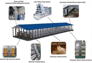 layer cages equipment