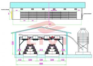 A-type Pullet Battery Chicken Cage Farm Specification