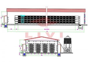 H-type Pullet Cage Farm Specification