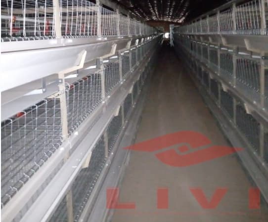 broiler cages for sale