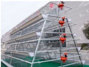 layer cages