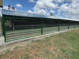 Starting a Poultry Farm with Battery Cage Systems: Step-by-Step Guide ...