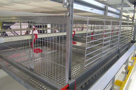 The good poultry farming equipment adopts the electrostatic spraying technology that can prolong the service life about 15-20 years.