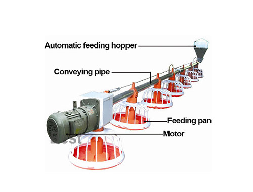 Chicken feeding lines for poultry supplies is an important equipment for broiler farm.