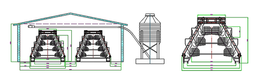 automatic chicken farm