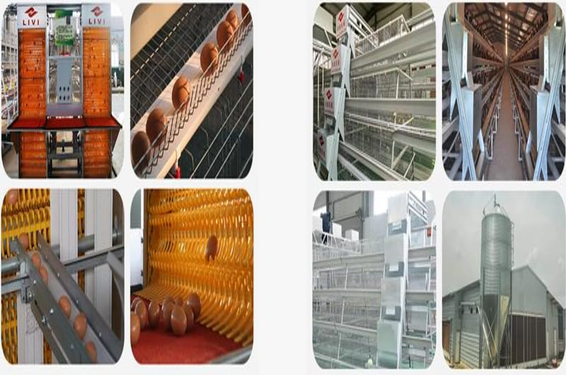 layer cage equipment