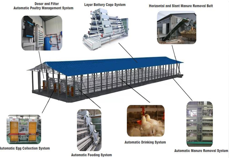 layer cages equipment