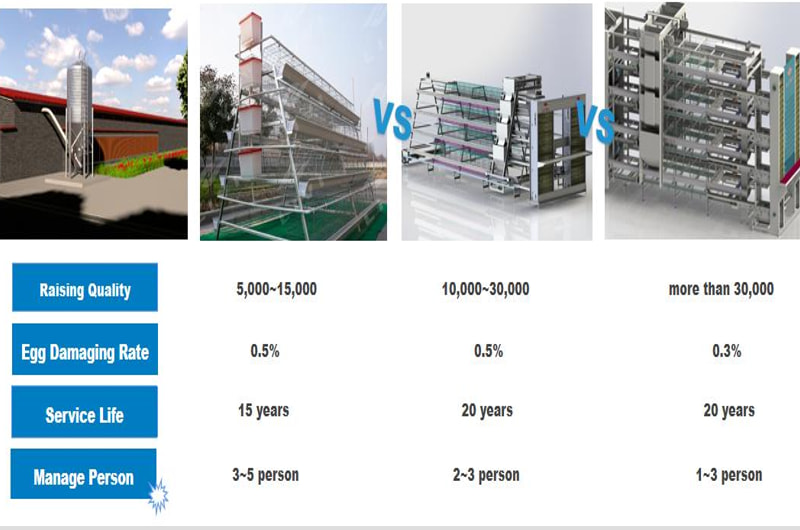 the difference of layer cage equipment