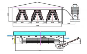 A-type Layer Battery Cages Farm Specification